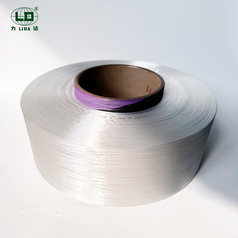 Chii Chinoita Yakazara Yakagomara Filament Yarn Nylon 6 iyo Yekupedzisira Sarudzo Yepamusoro-Performance Textiles
